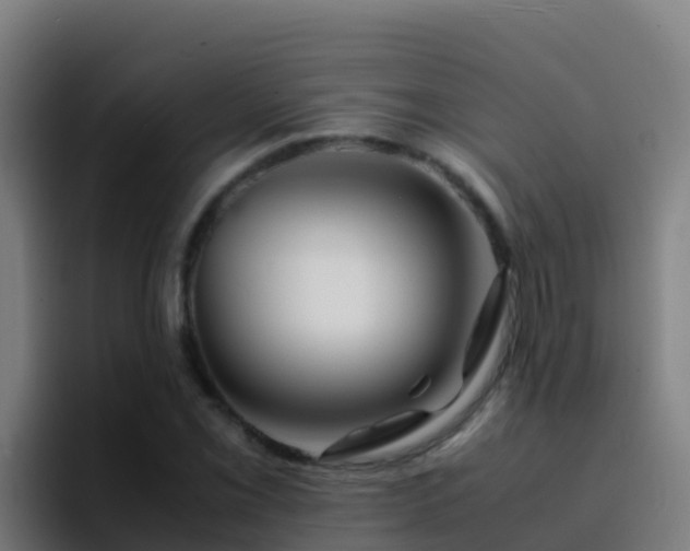 X0000094931069200712061124