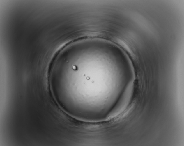 X0000094931071200712061124