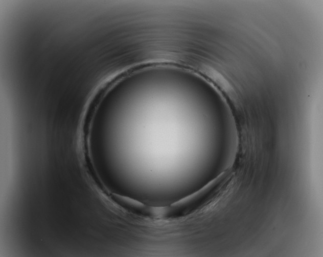 X0000094931072200712061124