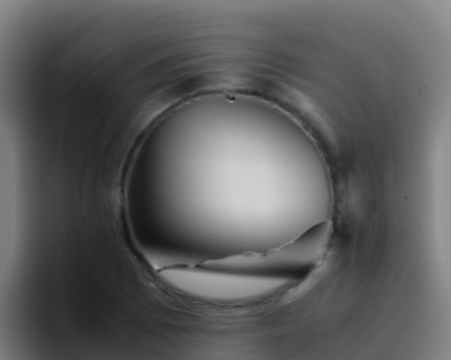 X0000094931073200712061124