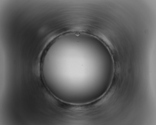 X0000094931075200712061124