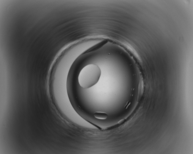 X0000094931076200712061124