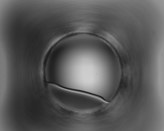 X0000094931077200712061124