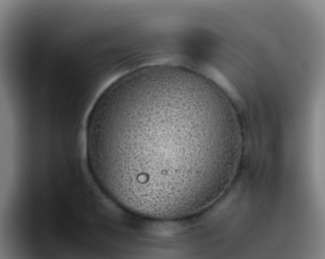 X0000094931079200712061124