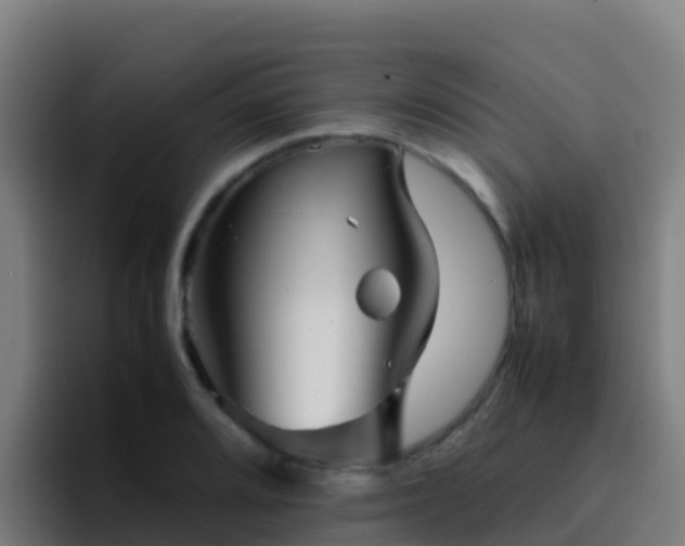 X0000094931080200712061124