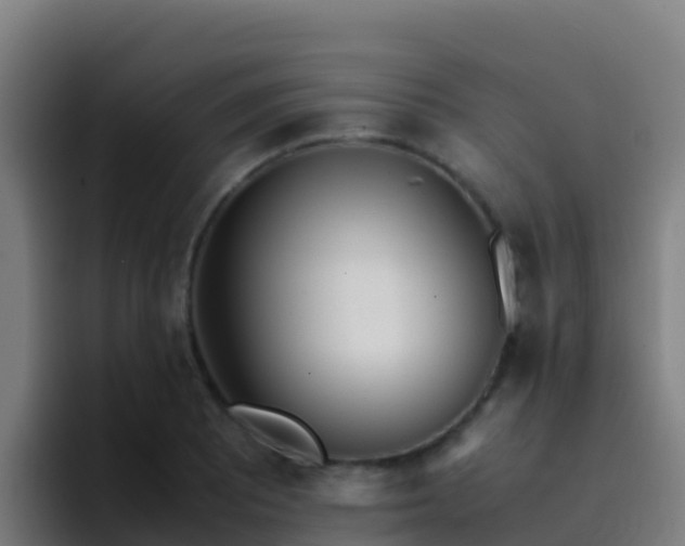 X0000094931081200712061124