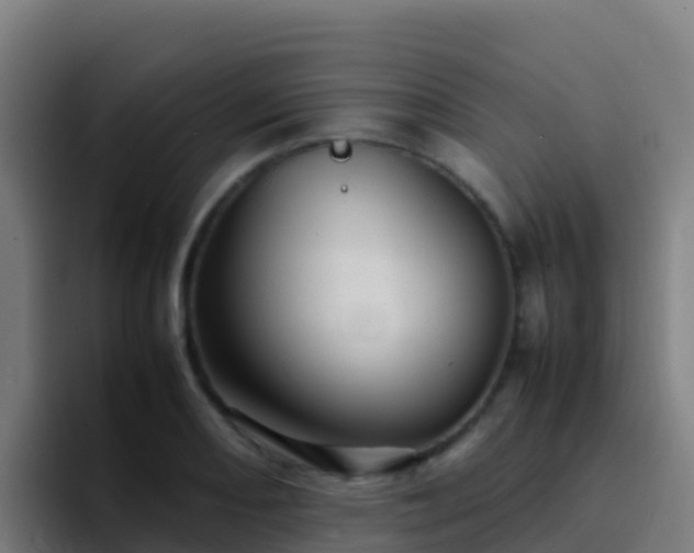 X0000094931082200712061124