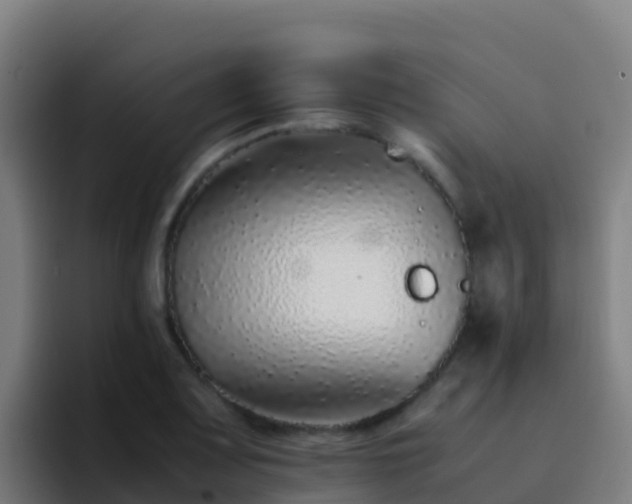 X0000094931083200712061124