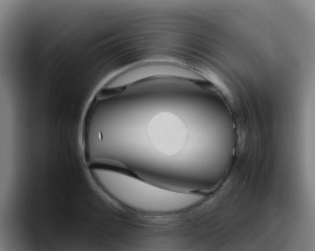 X0000094931084200712061124