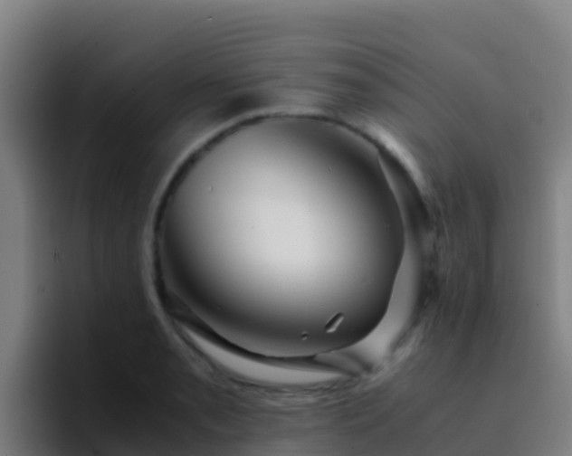 X0000094931085200712061124