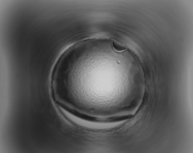 X0000094931087200712061124