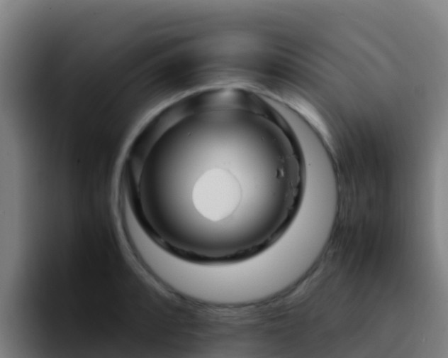 X0000094931088200712061124