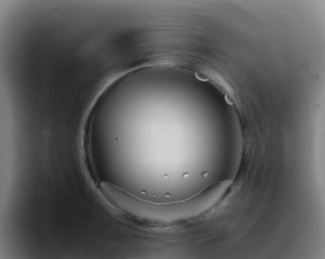 X0000094931091200712061124