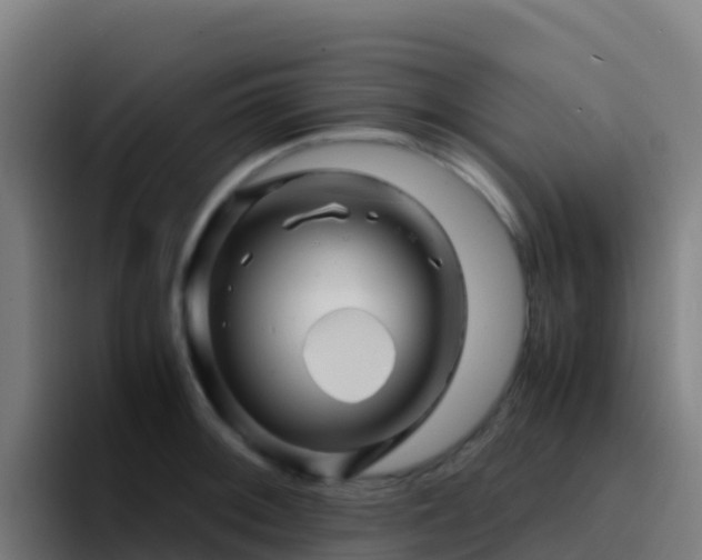 X0000094931092200712061124
