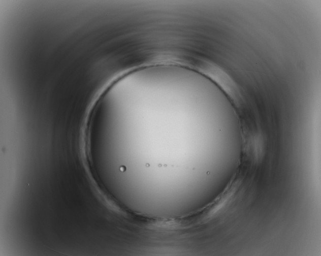 X0000094931094200712061124