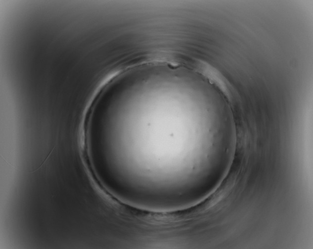 X0000094931095200712061124