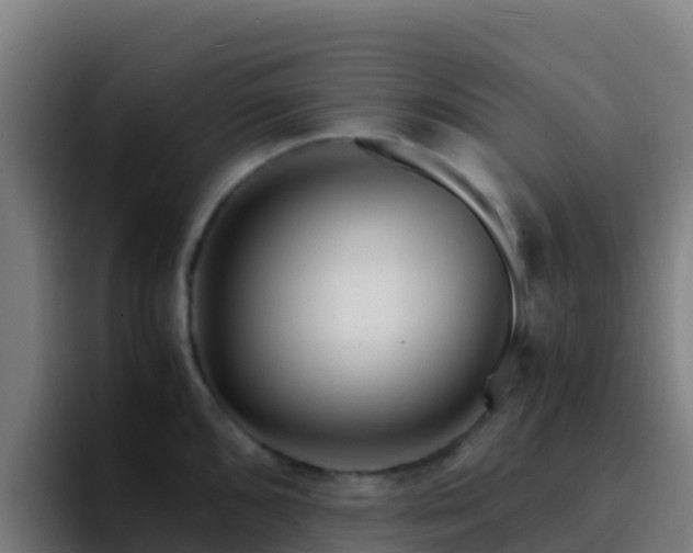 X0000094931096200712061124