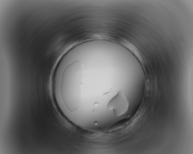 X0000094931098200712061124
