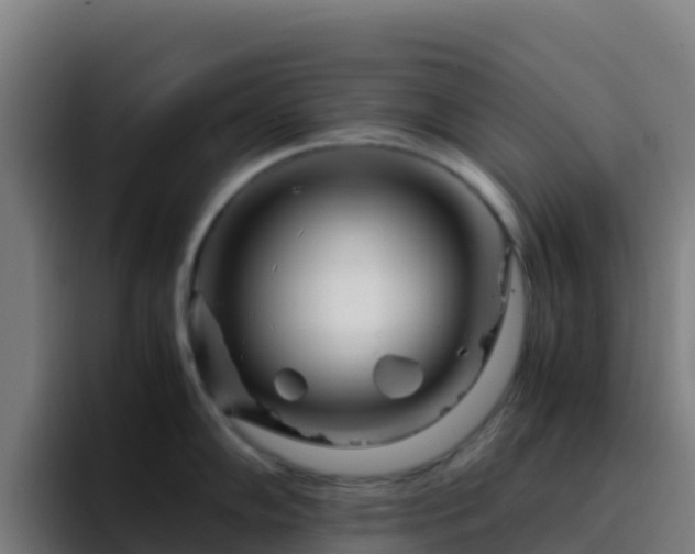 X0000094931102200712061124