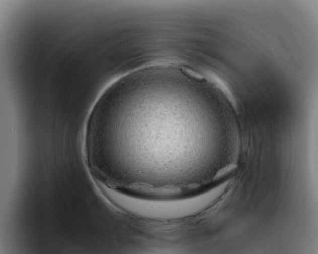 X0000094931103200712061124