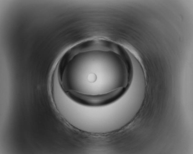 X0000094931104200712061124