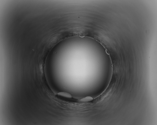 X0000094931106200712061123
