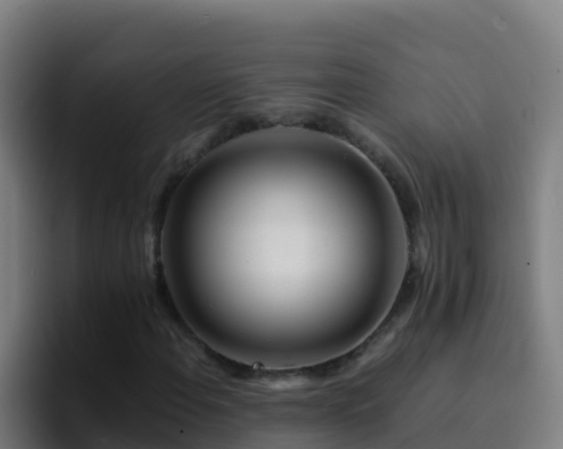 X0000094931108200712061123