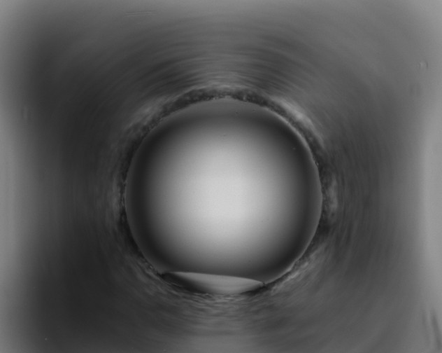 X0000094931110200712061123
