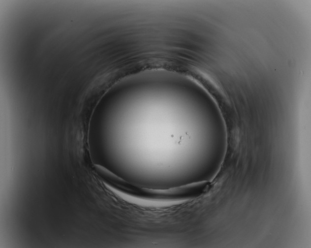 X0000094931111200712061123