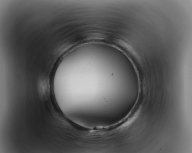 X0000094931113200712061123
