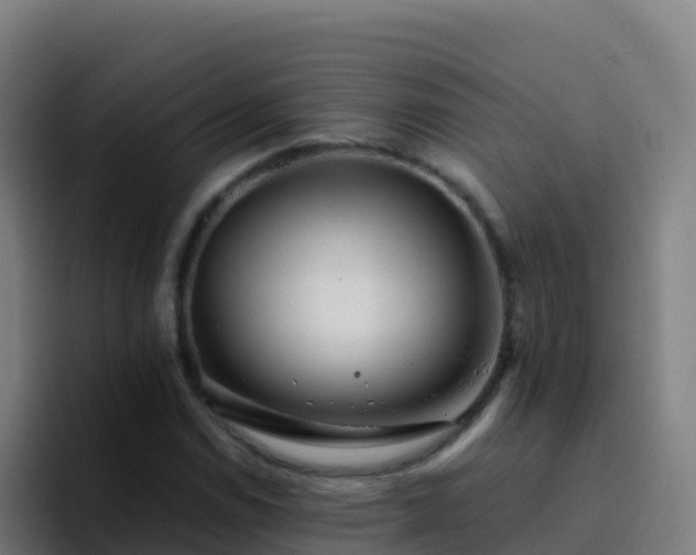 X0000094931114200712061123