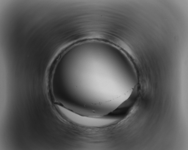 X0000094931116200712061123