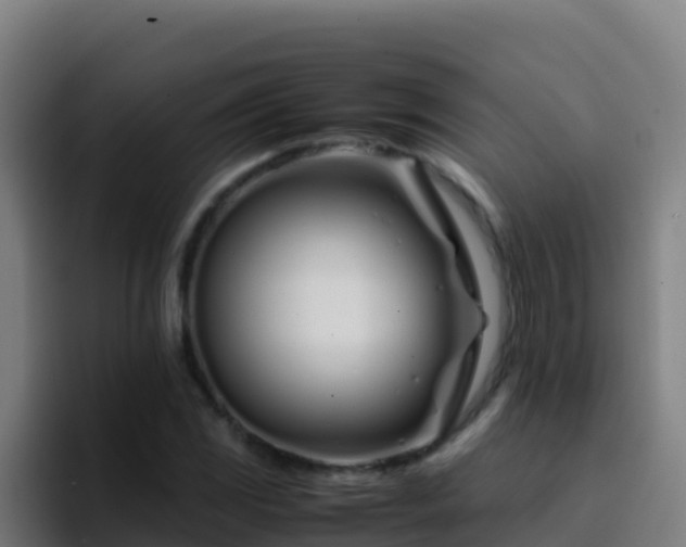 X0000094931117200712061123
