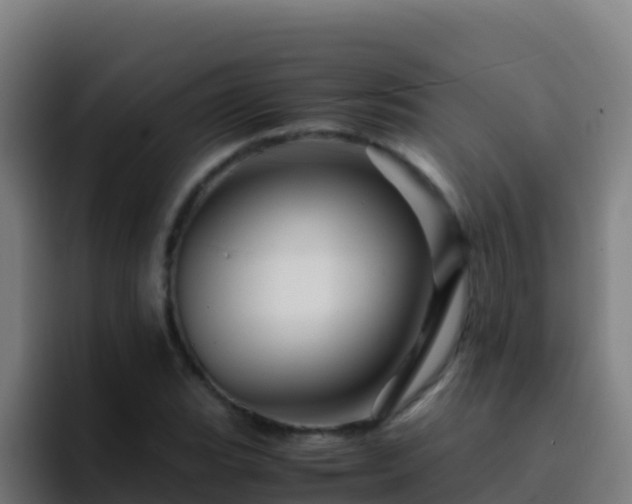 X0000094931119200712061123
