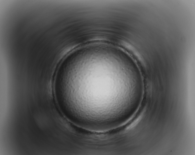 X0000094931121200712061123