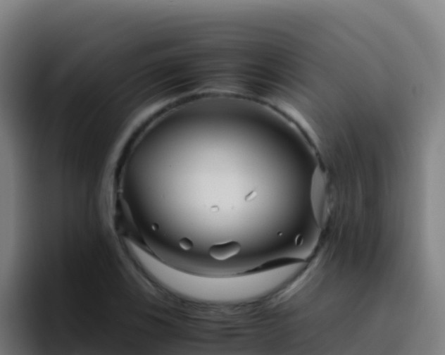 X0000094931123200712061123