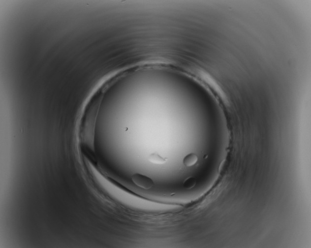 X0000094931124200712061123