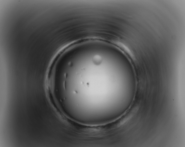 X0000094931125200712061123
