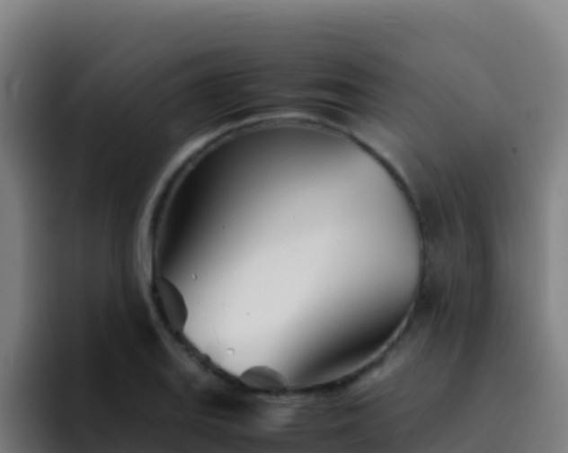 X0000094931127200712061123