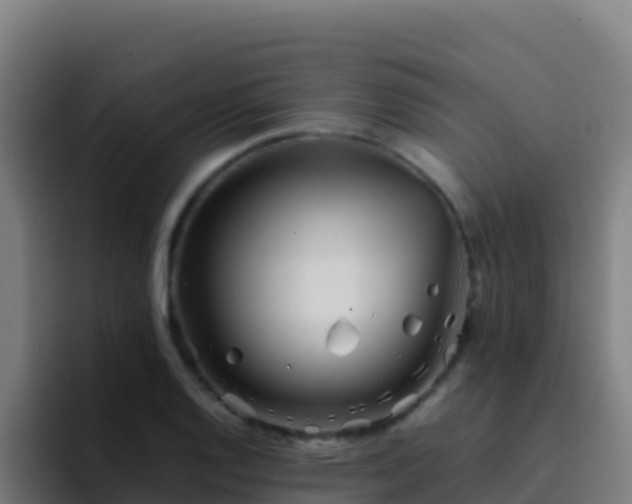 X0000094931128200712061123