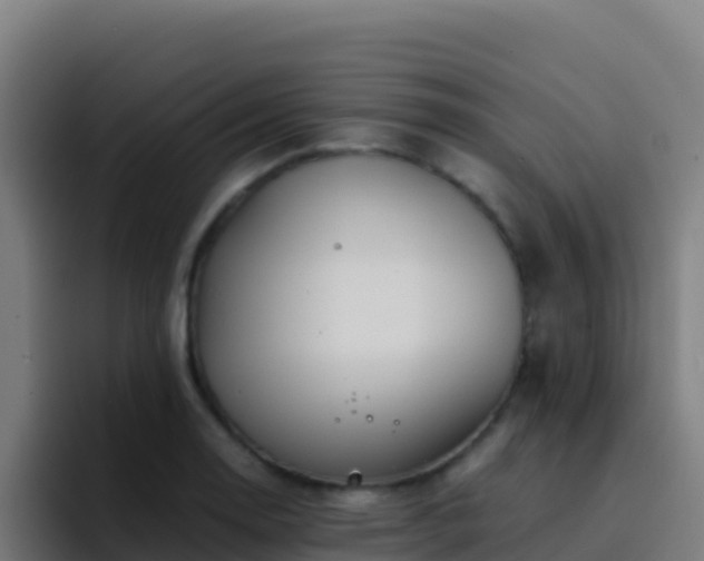 X0000094931130200712061123