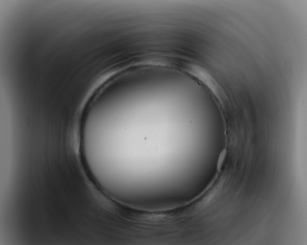 X0000094931131200712061124