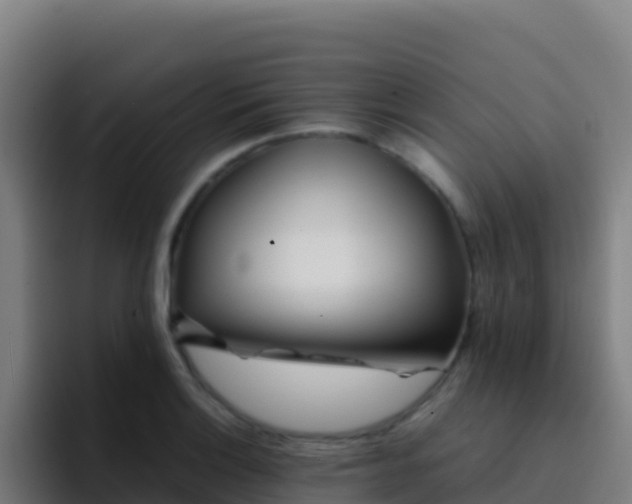 X0000094931132200712061124