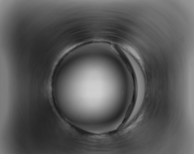 X0000094931133200712061124