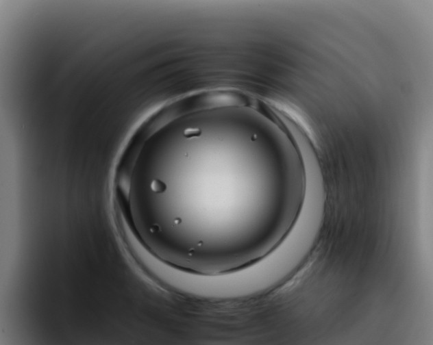 X0000094931135200712061124
