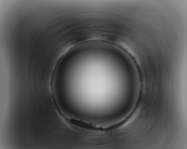 X0000094931137200712061124