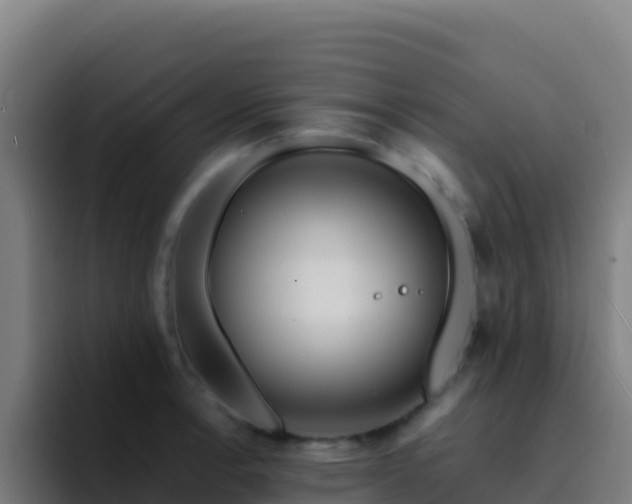 X0000094931138200712061124