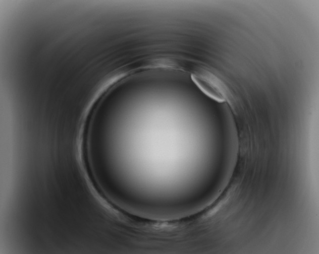 X0000094931139200712061124