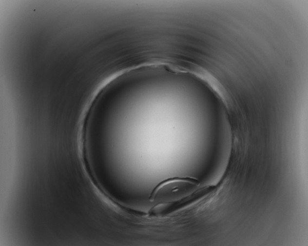 X0000094931143200712061124