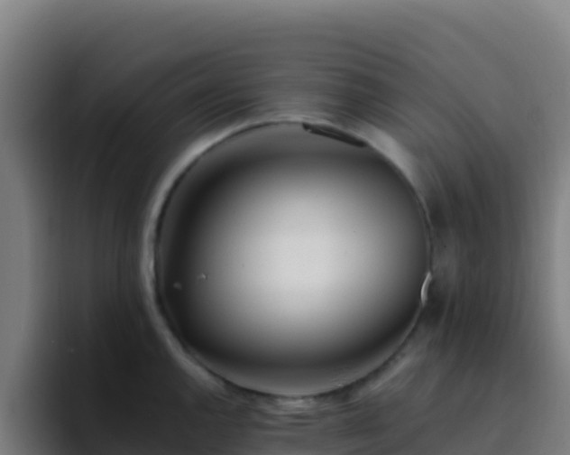 X0000094931144200712061124